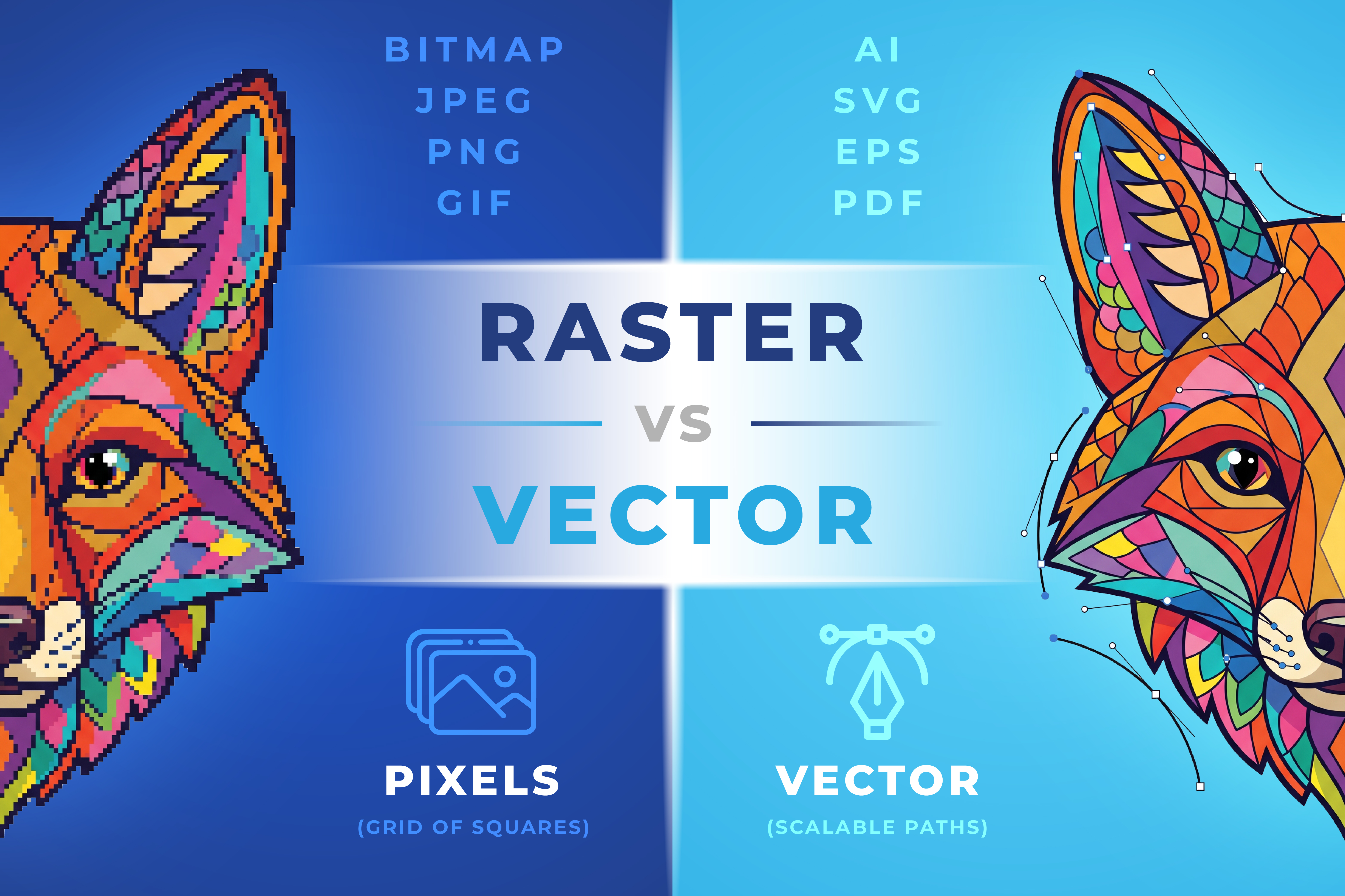 What Is the Difference Between Raster Image and Vector Image?