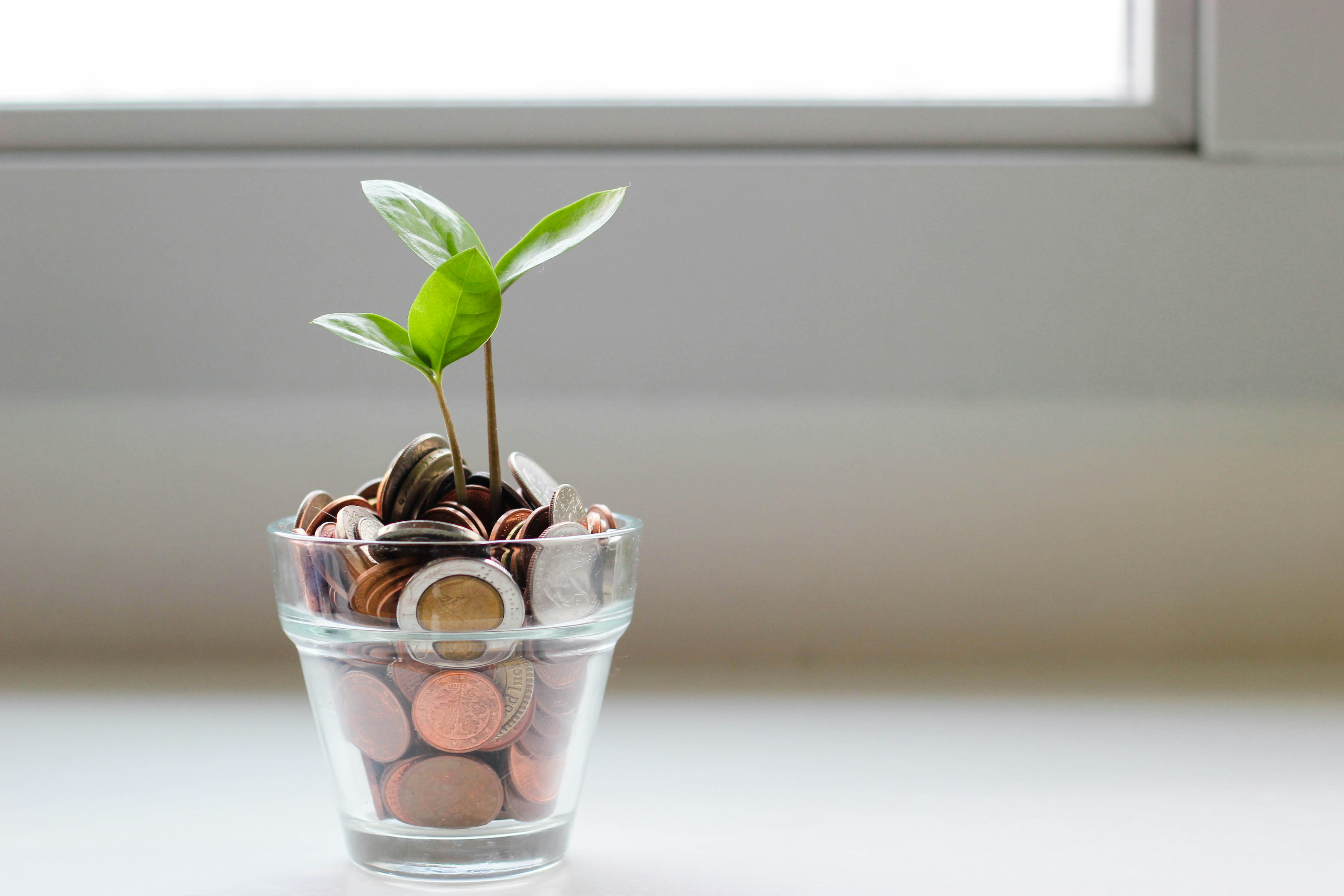 Financiación